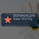 borexoe.pro